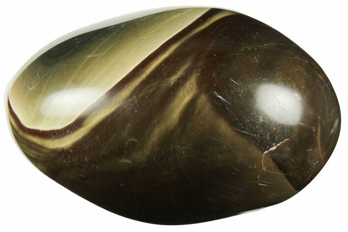 Polished Polychrome Jasper Palm Stone - Madagascar #217882